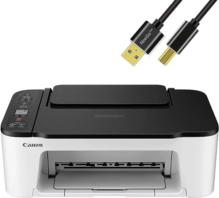 Why Did My Canon Printer Suddenly Stop? : A Step-By-Step In Solving The Issue